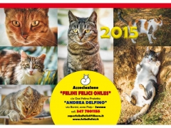 Copertina calendario 2015