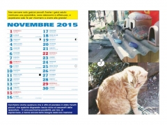 Novembre