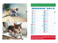 Maggio