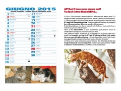 Giugno