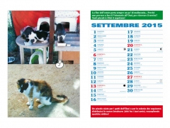 Settembre
