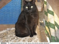Nerina