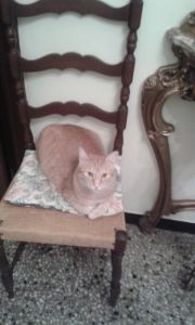 minù_1