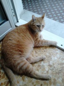 minù_2