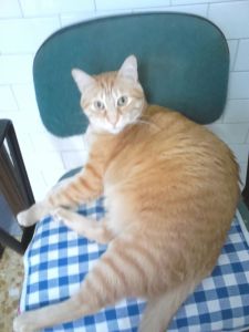 minù_3