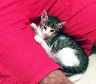 thor